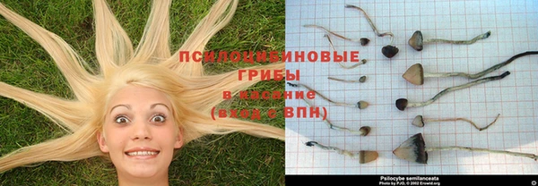 каннабис Арсеньев