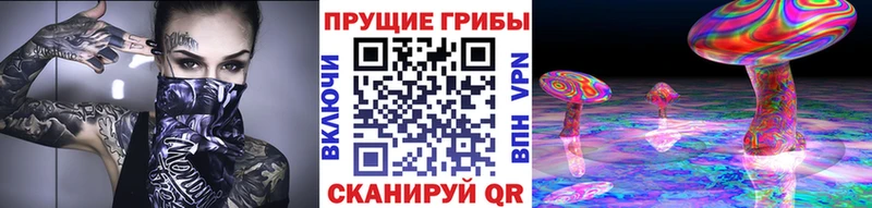 blacksprut ONION  Кировск  Галлюциногенные грибы Magic Shrooms 